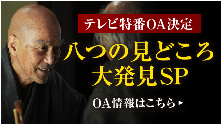 大好評！テレビ特番　八つの見どころ大発見SP